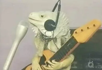 Sylvester Chord